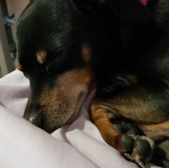 Get to know me! - Picture 5 of 8